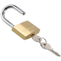 imagehandler - 2025-03-13T094623.394.jpg