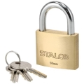 imagehandler - 2025-03-13T095144.408.jpg